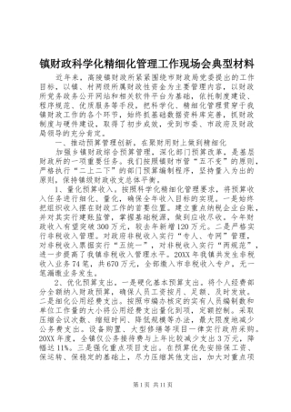 2024年镇财政科学化精细化管理工作现场会典型材料