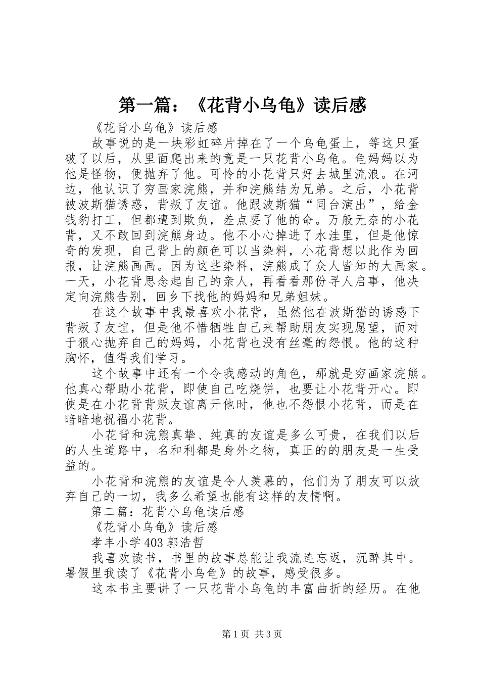 2024年花背小乌龟读后感_第1页