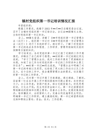 2024年镇村党组织第一书记培训情况汇报