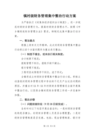 2024年镇村级财务管理集中整治行动方案