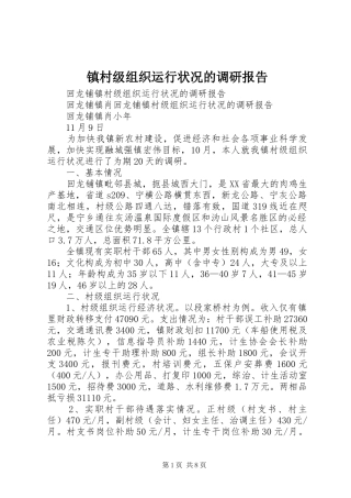 2024年镇村级组织运行状况的调研报告