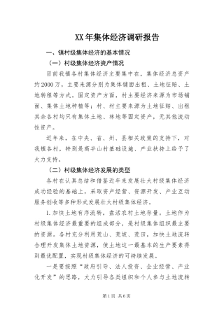 2024年集体经济调研报告