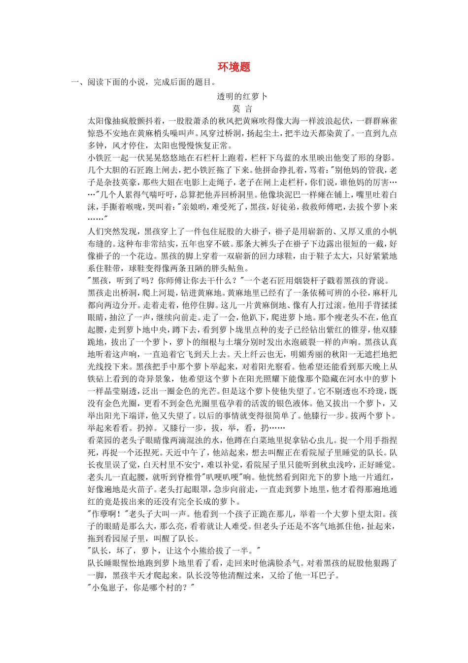 （考黄金）高考语文一轮检测 小说阅读 环境题精讲精析 新人教版_第1页