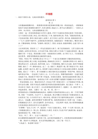 （考黄金）高考语文一轮检测 小说阅读 环境题精讲精析 新人教版