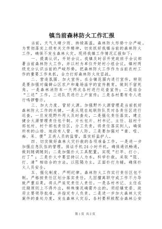 2024年镇当前森林防火工作汇报