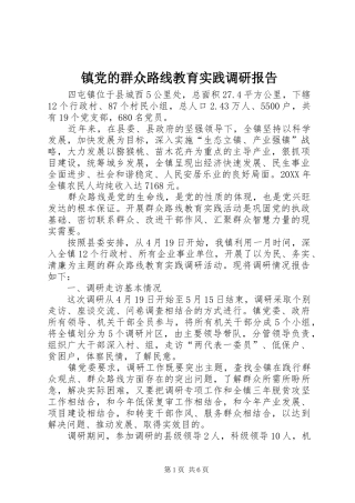 2024年镇党的群众路线教育实践调研报告