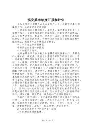 2024年镇党委半年度汇报和计划
