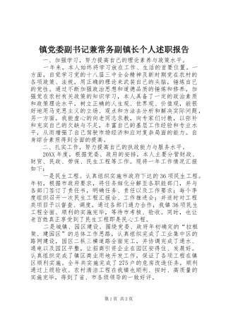 2024年镇党委副书记兼常务副镇长个人述职报告