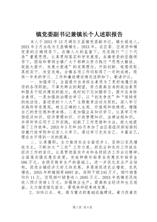 2024年镇党委副书记兼镇长个人述职报告