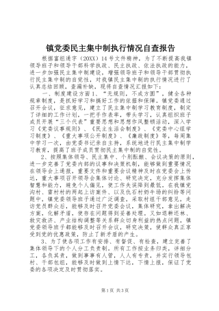 2024年镇党委民主集中制执行情况自查报告