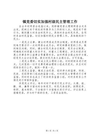 2024年镇党委切实加强村级民主管理工作