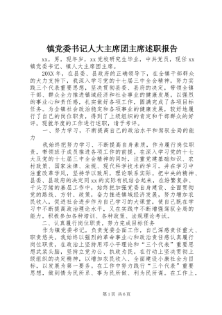 2024年镇党委书记人大主席团主席述职报告