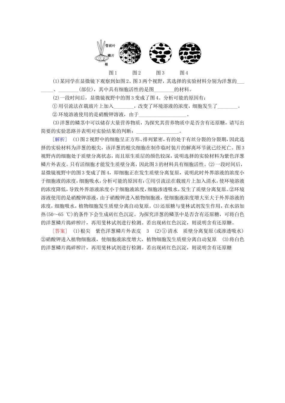 （统考版）高考生物二轮复习 课后限时集训14 实验（含解析）-人教版高三生物试题_第3页