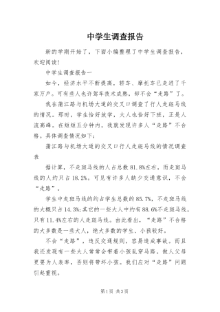 2024年中学生调查报告