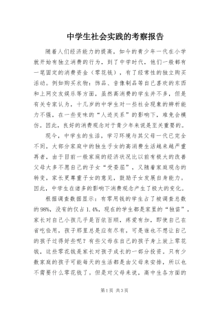 2024年中学生社会实践的考察报告