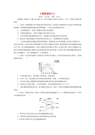 （统考版）高考生物二轮复习 小题提速练（九）（含解析）-人教版高三生物试题