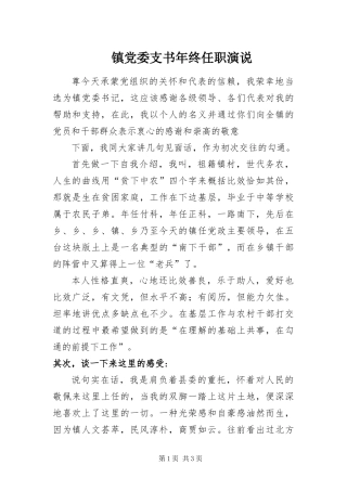 2024年镇党委支书年终任职演说