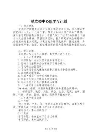 2024年镇党委中心组学习计划