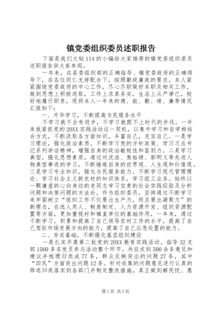 2024年镇党委组织委员述职报告