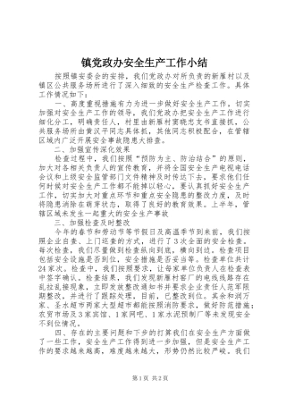 2024年镇党政办安全生产工作小结
