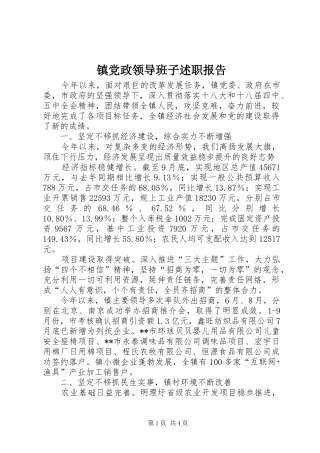 2024年镇党政领导班子述职报告