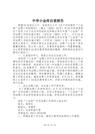 2024年中学小金库自查报告