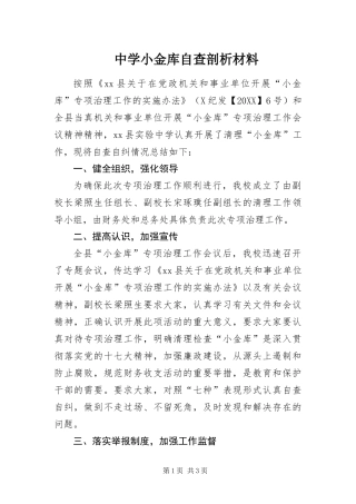2024年中学小金库自查剖析材料