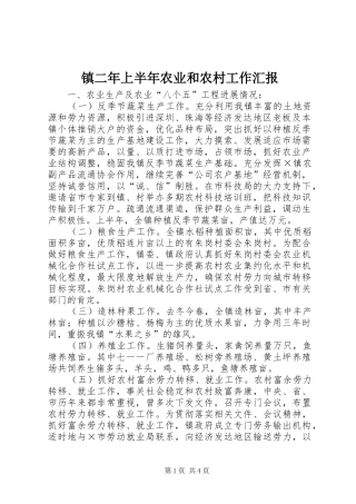 2024年镇二年上半年农业和农村工作汇报