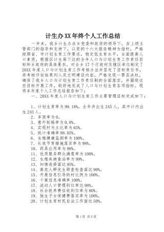 2024年计生办终个人工作总结