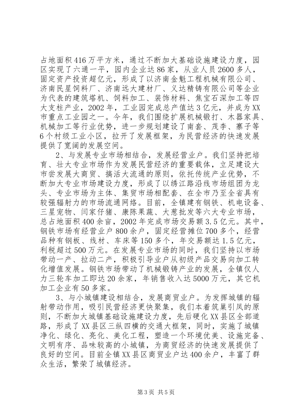 2024年镇发展民营经济经验交流材料_第3页