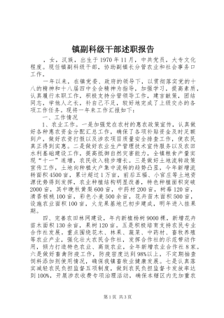 2024年镇副科级干部述职报告