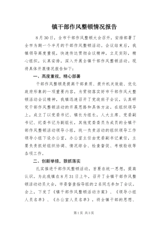 2024年镇干部作风整顿情况报告