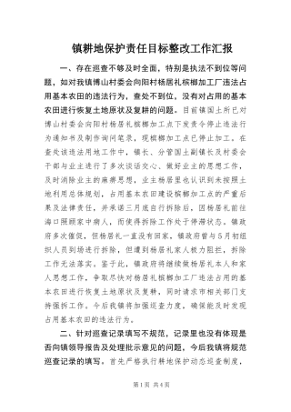 2024年镇耕地保护责任目标整改工作汇报
