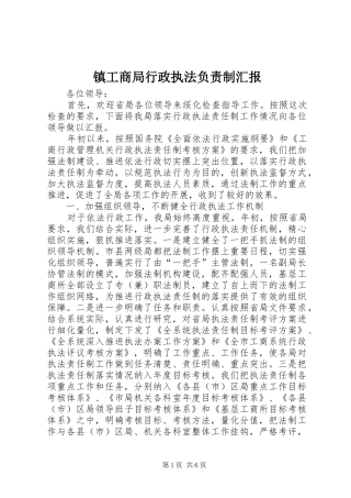 2024年镇工商局行政执法负责制汇报