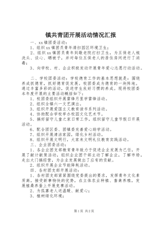 2024年镇共青团开展活动情况汇报