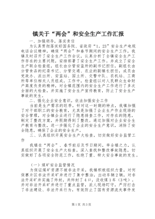 2024年镇关于两会和安全生产工作汇报