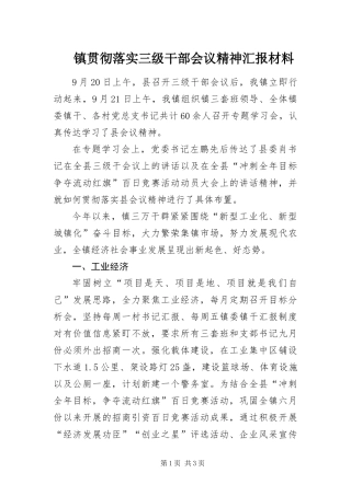 2024年镇贯彻落实三级干部会议精神汇报材料