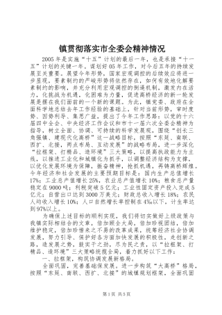 2024年镇贯彻落实市全委会精神情况