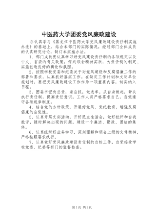 2024年中医药大学团委党风廉政建设