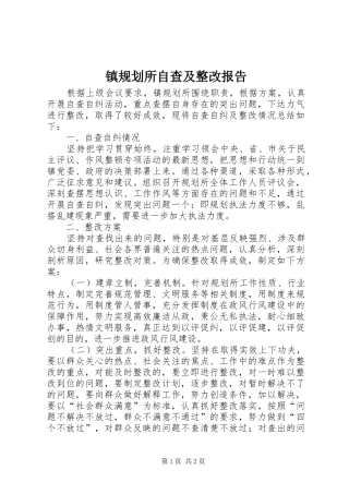 2024年镇规划所自查及整改报告