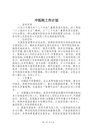 2024年中医院工作计划
