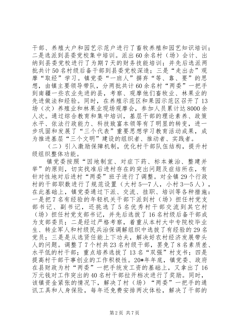 2024年镇基层组织经验交流材料_第2页