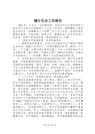 2024年镇计生办工作报告