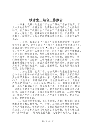 2024年镇计生三结合工作报告