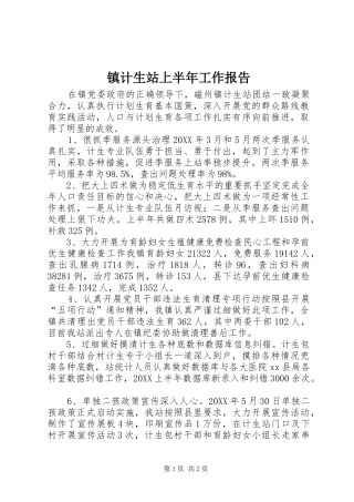 2024年镇计生站上半年工作报告