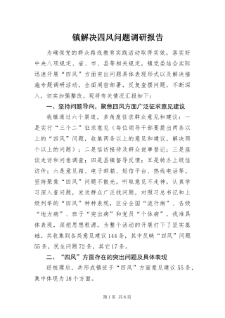 2024年镇解决四风问题调研报告