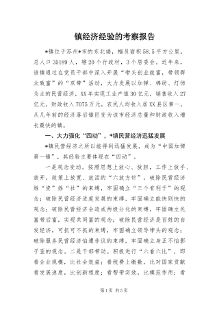 2024年镇经济经验的考察报告