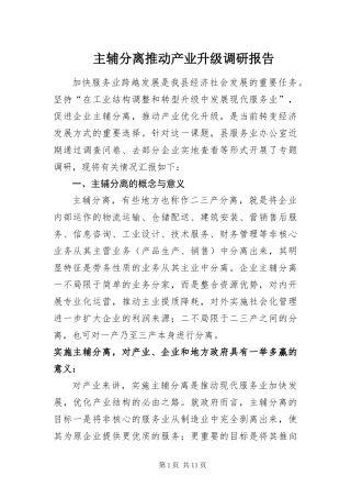 2024年主辅分离推动产业升级调研报告
