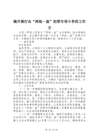 2024年镇开展打击两抢一盗犯罪专项斗争的工作方