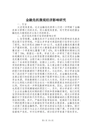 2024年金融危机微观经济影响研究